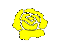 mini rose